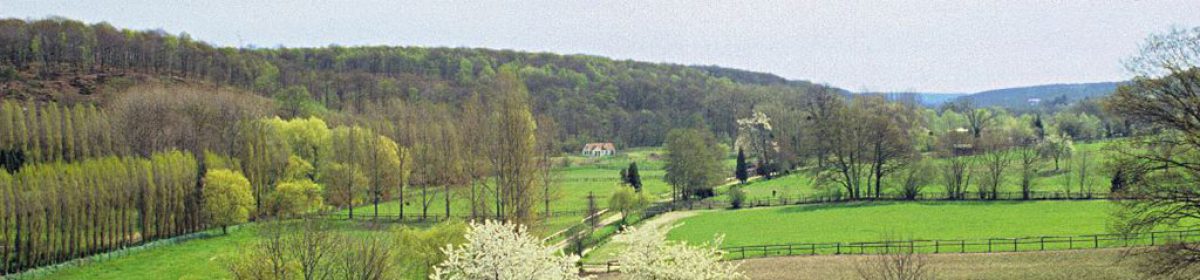 Les Amis du Grand Parc de Versailles – AGPV