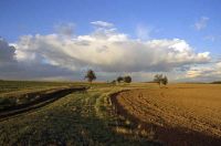 plateau-de-saclay-toussus-j1-dg